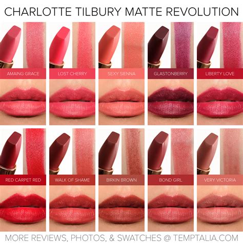 best lipstick brown red brands.